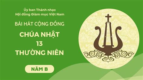 鲁大师在线免费看视频安全吗外围播放实测