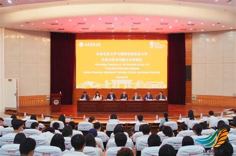 在都市通勤与家庭责任间穿梭的「车上人妻」:一个被忽视的日常场景