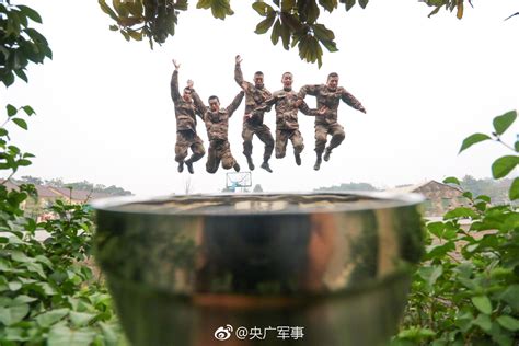 宅宅苏的蜜桃视频：分享生活趣味的独特视角