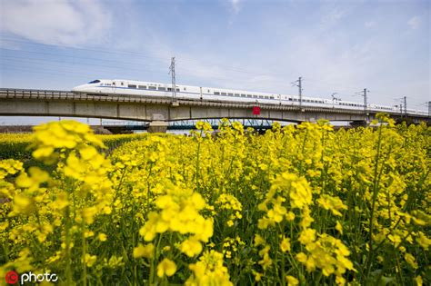 在线视频平台访问技巧与安全浏览须知
