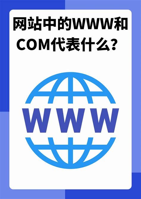 免费成人网站链接的寻找与使用指南