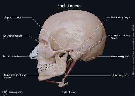 从方向盘到厨房,「车上人妻」如何利用通勤时间连接双重身份