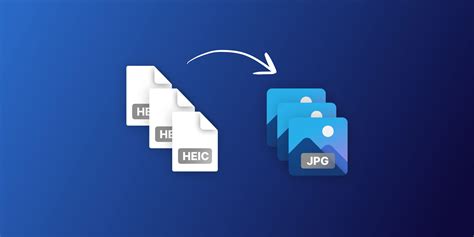 影视资源站地址稳定性探讨与用户应对策略