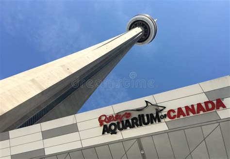 如何利用蜜桃线上免费资源:一份实用指南