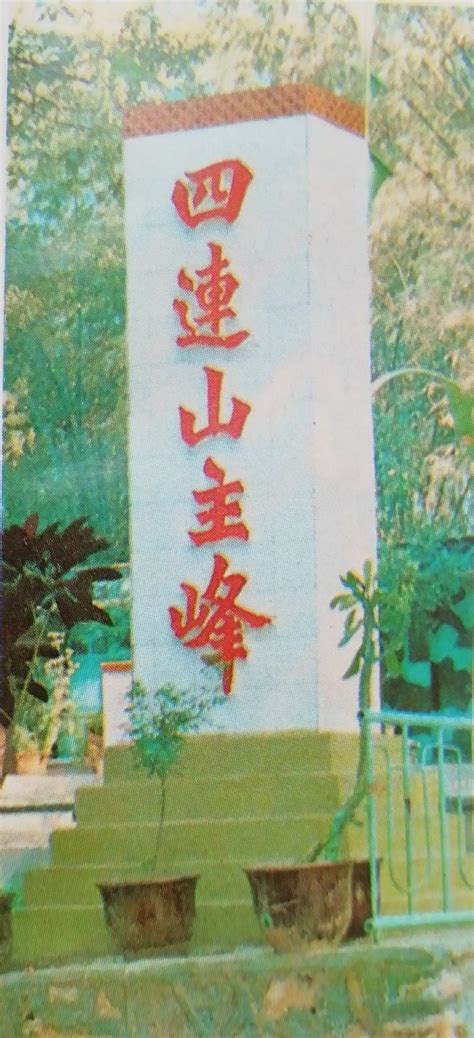 关注蜜桃视频网址变动，用户如何及时跟进