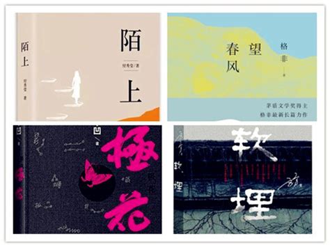 如何找到属于自己的‘忘忧草’？聊聊情绪与空间的联结