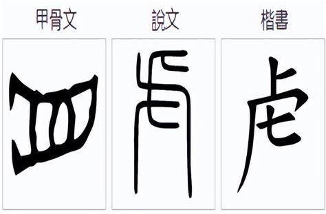 从用户视角看亚洲蜜挑:精品内容的筛选与呈现逻辑