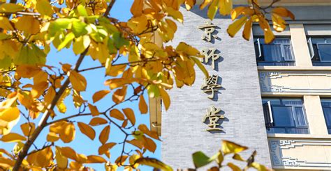 抛开模糊搜索词，聊聊线上免费观影的常见方式与潜在困惑