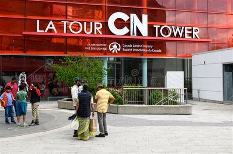女生自慰玩具网站选购指南：隐私正品售后是关键