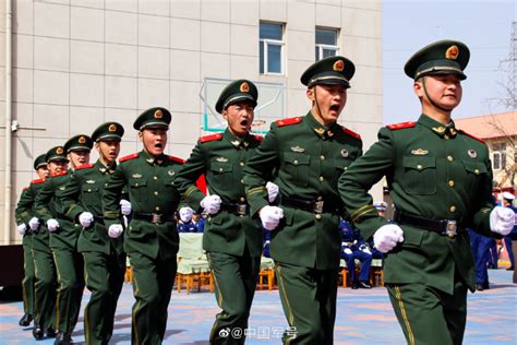 '黄色视频网站下载com'相关搜索背后的用户意图探讨