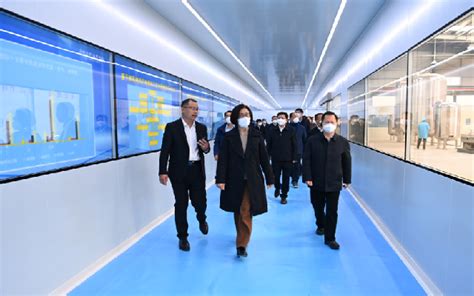 关注蜜桃视频网址变动,用户如何及时跟进