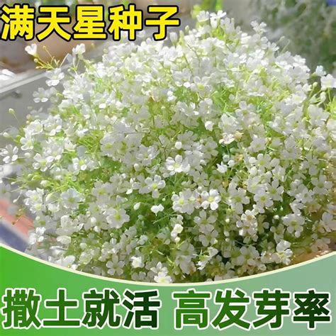 文章相关推荐标题