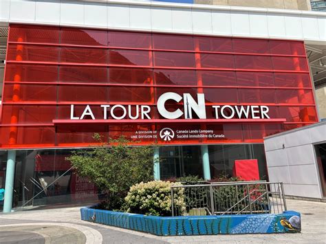 如何应对孩子接触不适宜网络内容？专家与家长经验分享