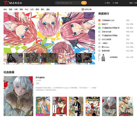 影视资源站地址稳定性探讨与用户应对策略