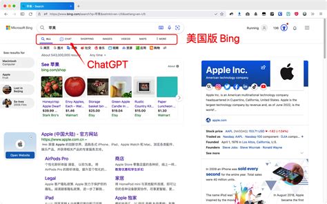 本地播放器成功播放视频文件的界面