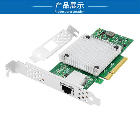 多种可爱的小兽形象集合插图