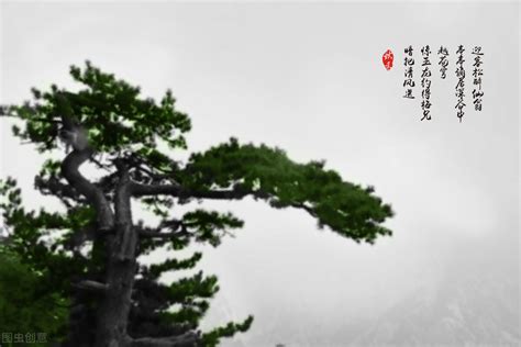从方向盘到厨房，「车上人妻」如何利用通勤时间连接双重身份