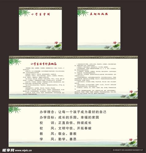 探索T的世界:不止是一种工具,更是一种生活方式