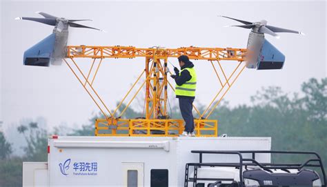 解读'污视频免费免登录'现象：网络用户的常见需求与应对