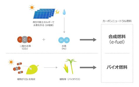 蜜桃视频新地址常见获取渠道与访问问题解答