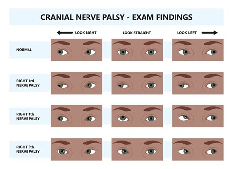 免费污视频App体验记:内容与便利性的双重考量