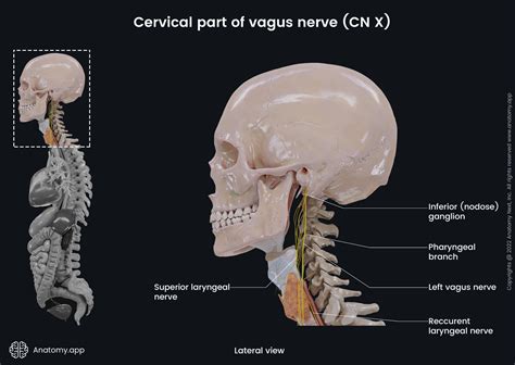 面对“分钟免费”服务,你需要知道的几件事
