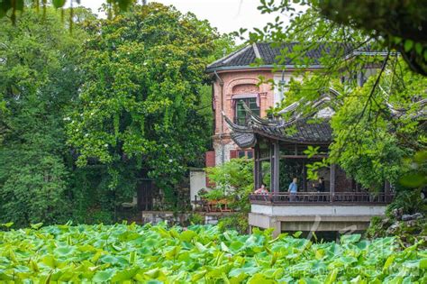探讨“www污现上”的成因与网络环境中的自我防护意识
