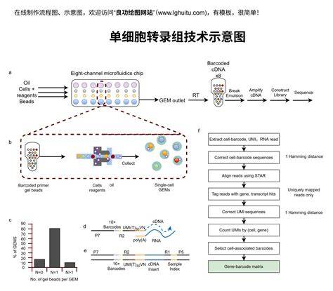 示意图:一个人在电脑前多个视频网站图标间选择 示意图:一个人在电脑前多个视频网站图标间选择
