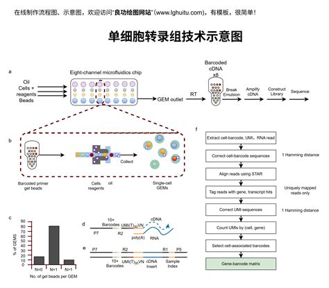 示意图：一个人在电脑前浏览充满对话气泡和消息图标的网站界面，代表信息汇聚。