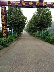 车厢里的独处时光:现代妻子们在路上的自我修复与角色转换