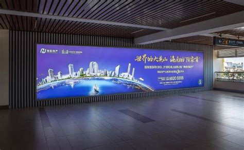 图表：展示创作者选择首发平台时需考量的多个因素维度