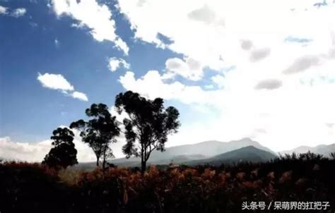 网络表情包合集：包含用“擦大狙”形容猫、准备考试、调试游戏设备等场景的搞笑配图