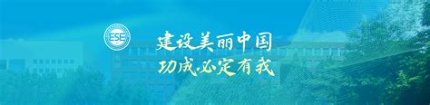 从发现到互动:在红桃视频App的日常使用感受