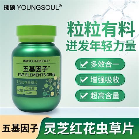 从搜索到使用：关于免费看污软件的几个事实
