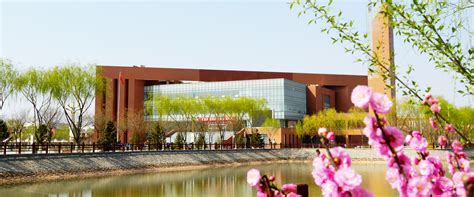 一系列不同主题的插插动态截图拼接，展示早餐、风景、读书等记录