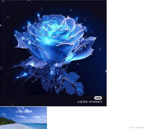 如何找到你想要的精品视频?这份挑选指南请收好