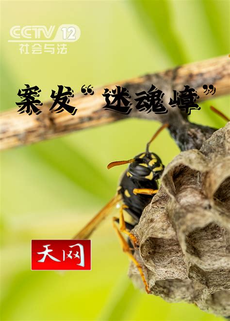 展示一个清爽的视频播放界面,侧边栏有清晰的分类如'纪录片''经典电影' 展示一个清爽的视频播放界面,侧边栏有清晰的分类如'纪录片''经典电影'
