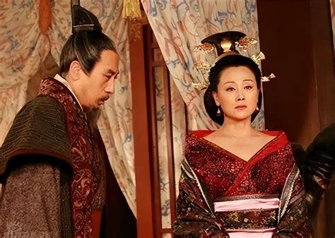 走进天堂蜜桃的分区世界：一区、二区、三区有何不同？