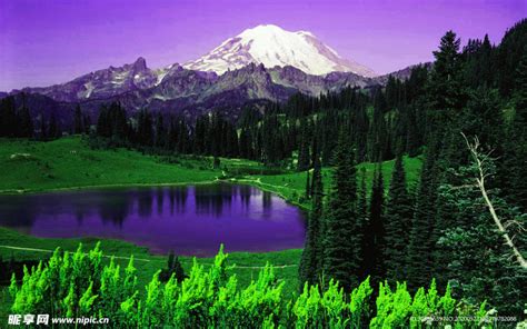 在线观看日本成人内容:现状、平台与选择考量